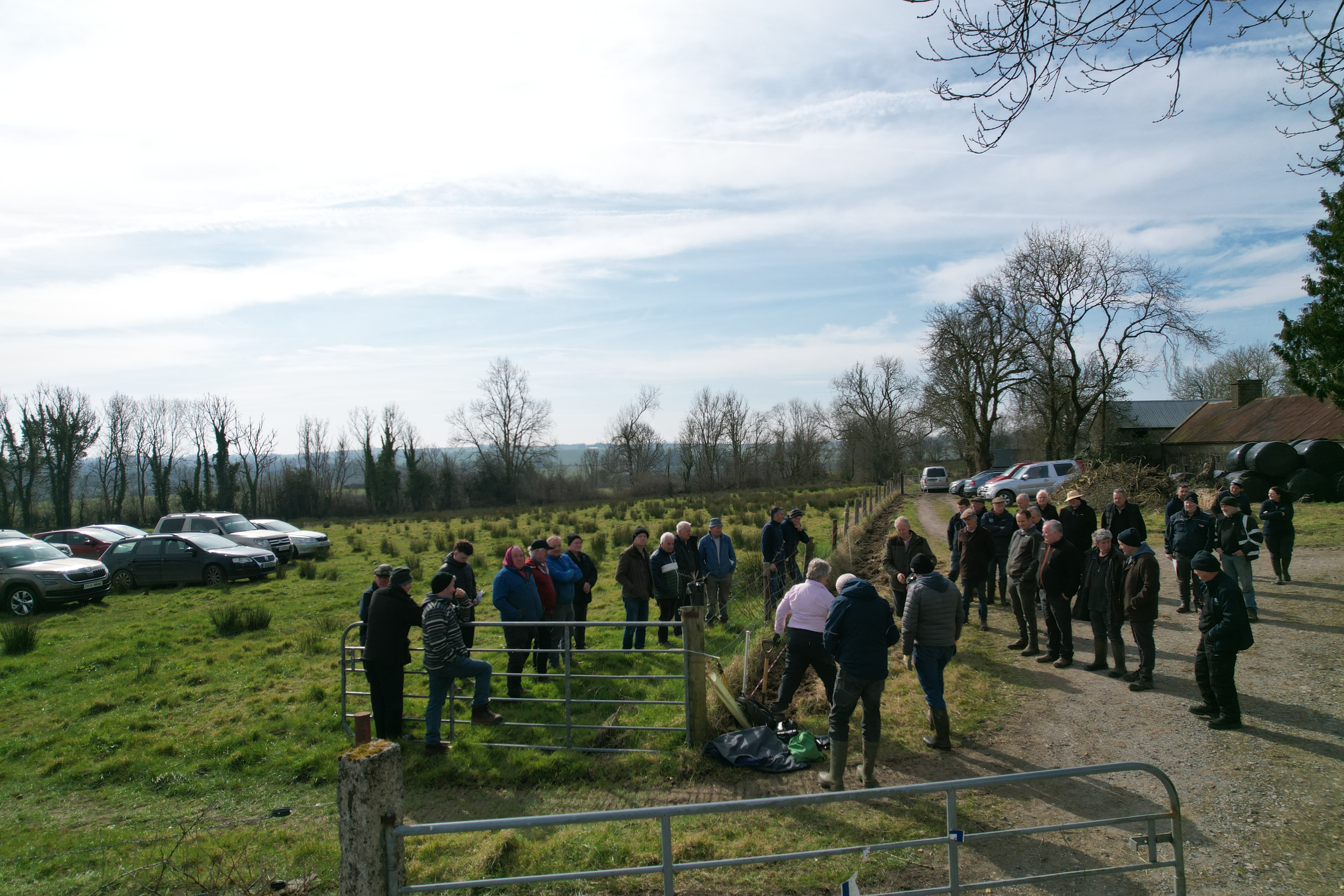 Farming Rathcroghan_Hedge planting.JPG