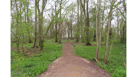 north-henge-1-45770.JPG