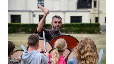 shield-wall-1-524e4.jpg