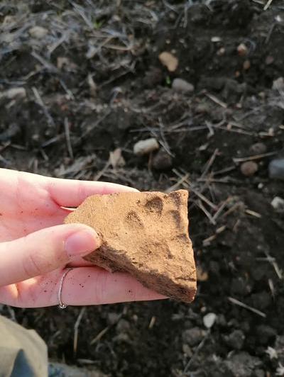 Hand with a silver ring and some soil holding a brick with an impressed paw print, soil and stones in the background