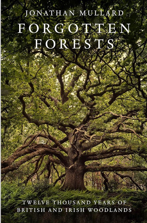 0007229_forgotten-forests-hardback.jpeg