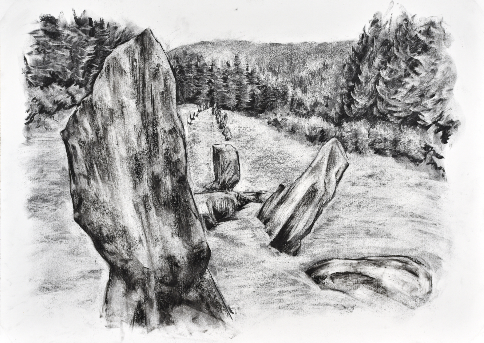 Stone_Row_Dartmoor_Forestry_England.png 1