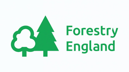 forest-logo.jpg 5